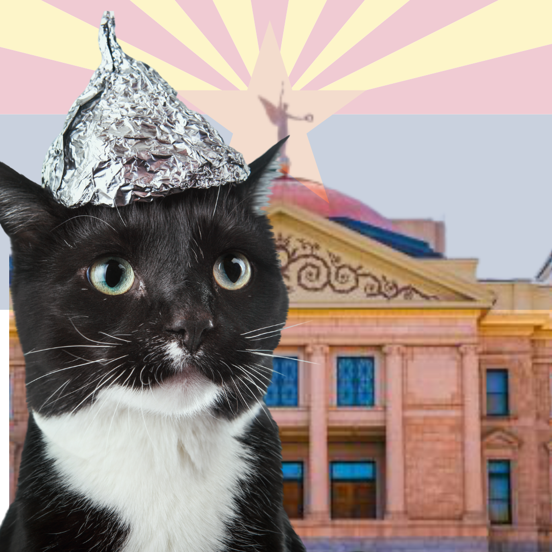 gray and white cat wearing a tin foil hat, staring into the distance, with the az capitol and flag in the background